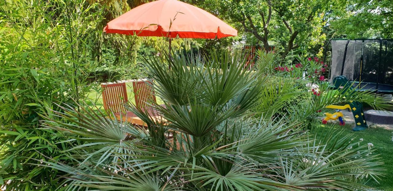 Fuered Deluxe Garden דירה