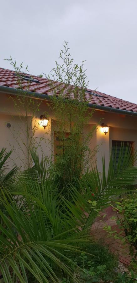 Fuered Deluxe Garden