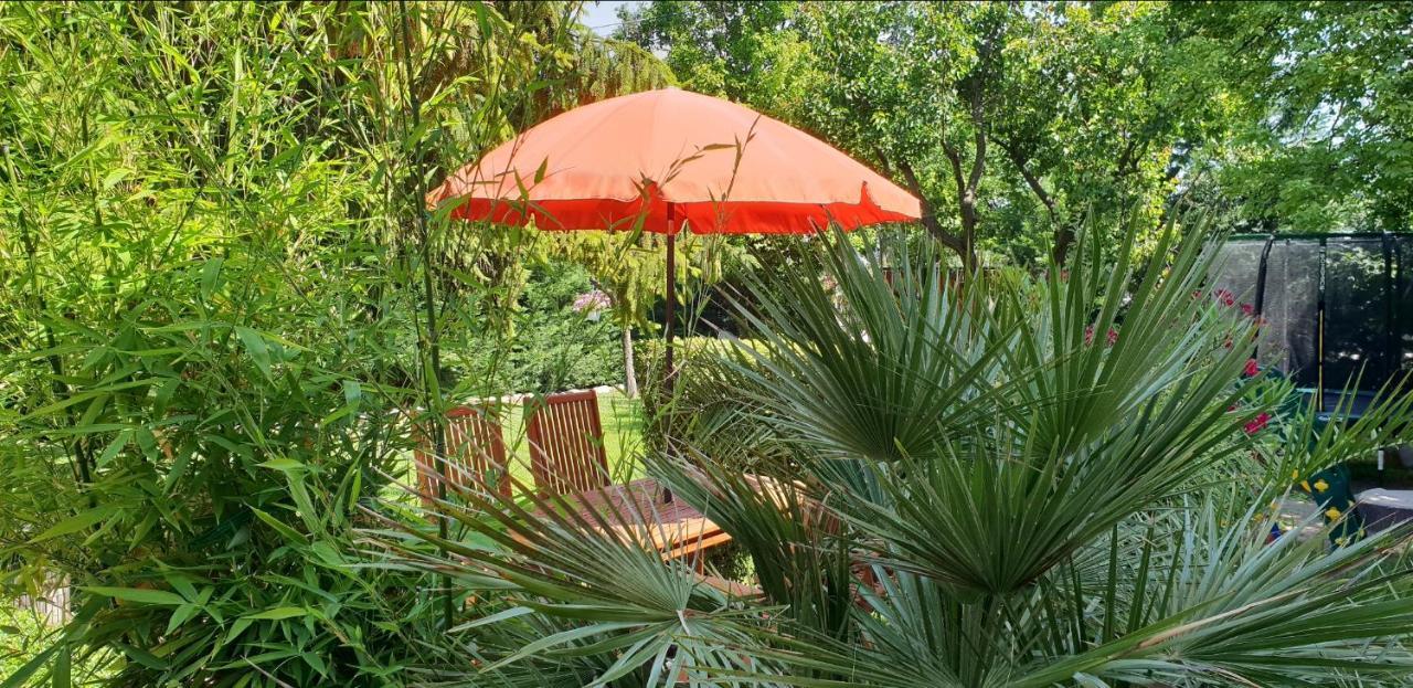 Fuered Deluxe Garden Balatonfured