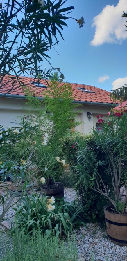 Fuered Deluxe Garden באלאטונפורד