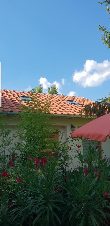Fuered Deluxe Garden * באלאטונפורד