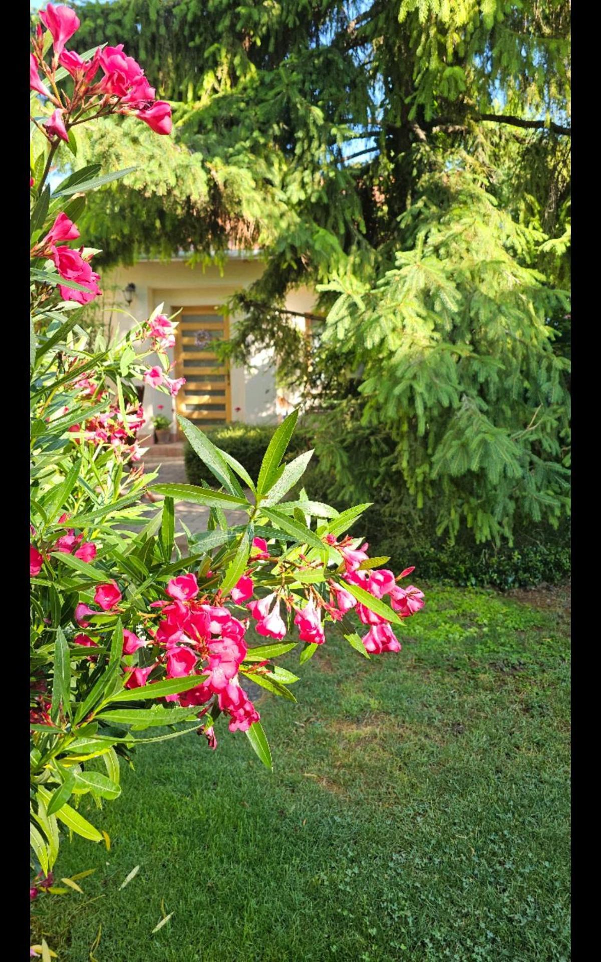 Fuered Deluxe Garden Apartment
