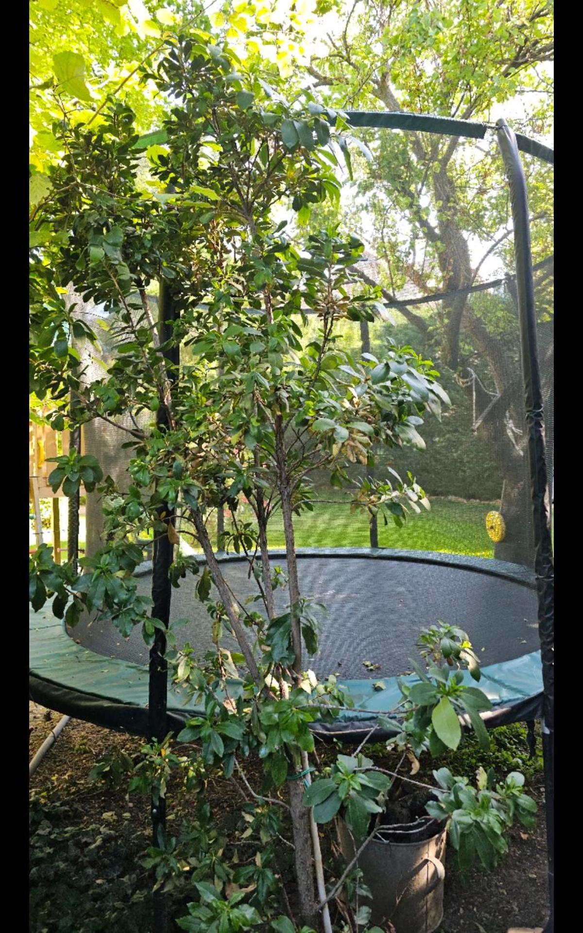 דירה Fuered Deluxe Garden *